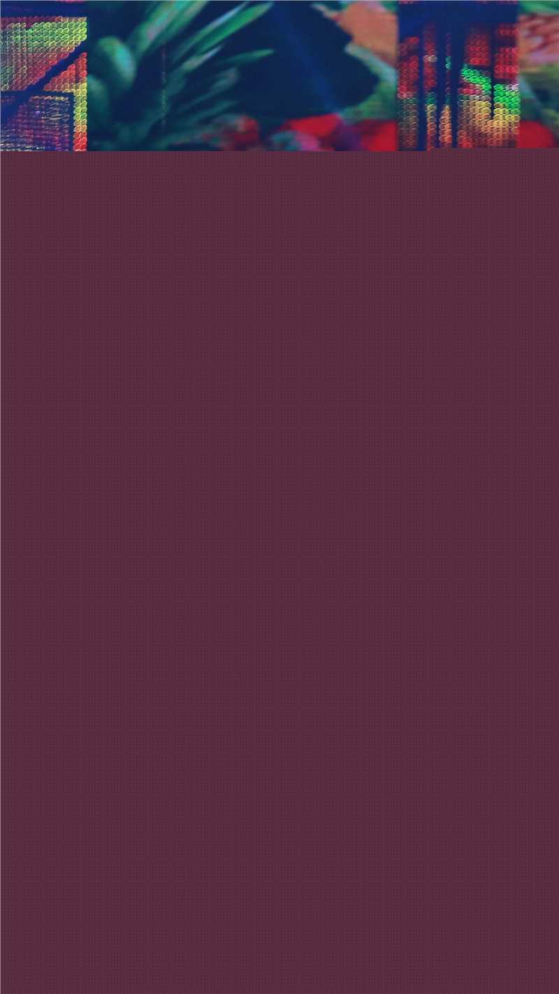 王嘉(Jevon Wang)参加央视春晚前后照片