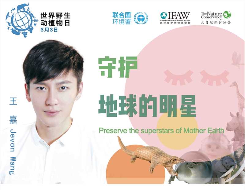 王嘉(Jevon Wang)公益活动图图册