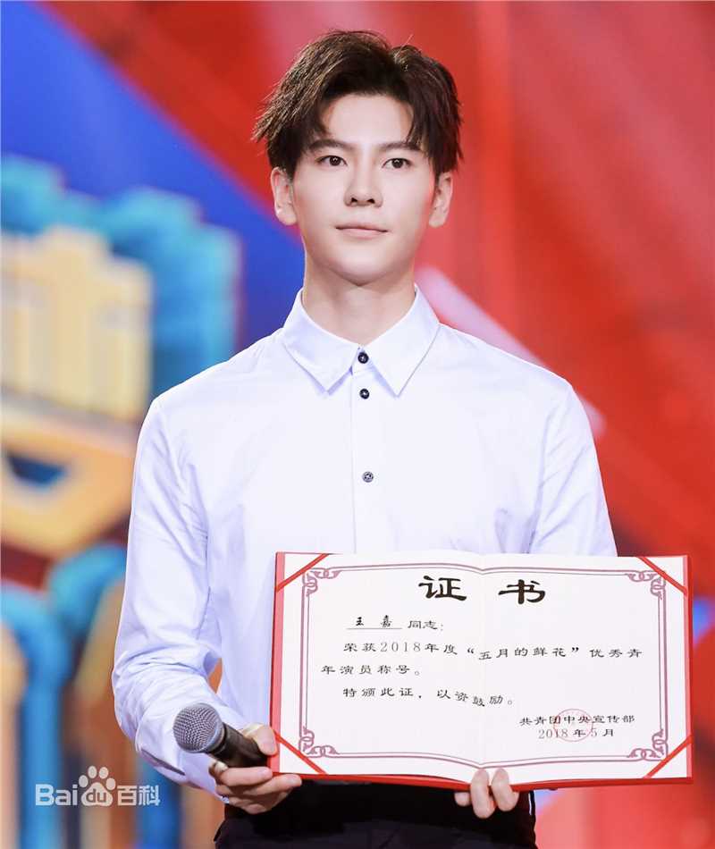 王嘉(Jevon Wang)五四优秀青年性感图片图集