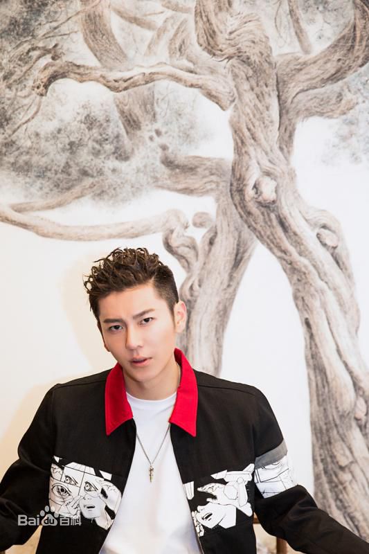 王嘉(Jevon Wang)活动图集图片图集