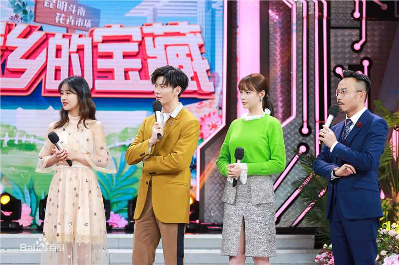 精选王嘉(Jevon Wang)在2019《天天向上》节目中的图册