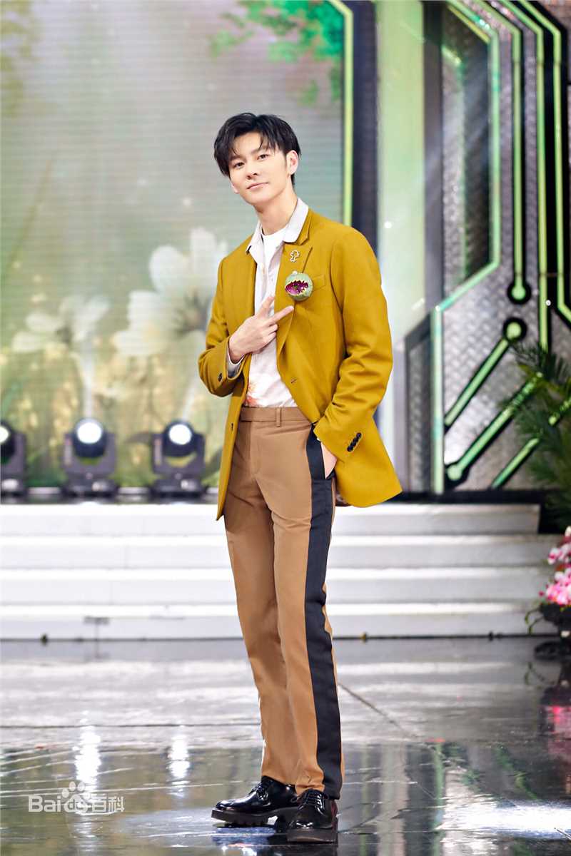 精选王嘉(Jevon Wang)在2019《天天向上》节目中的图册