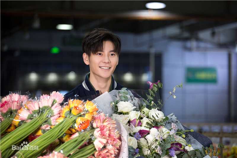 精选王嘉(Jevon Wang)在2019《天天向上》节目中的图册