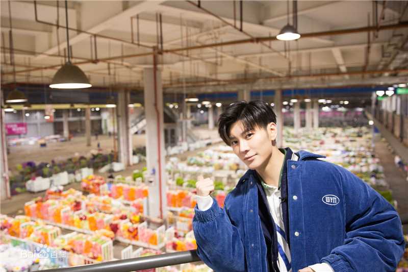 精选王嘉(Jevon Wang)在2019《天天向上》节目中的图册