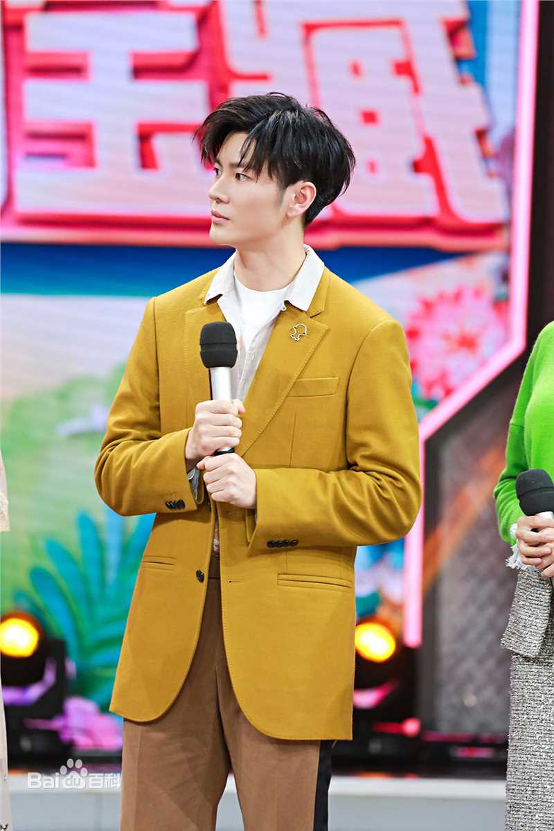 精选王嘉(Jevon Wang)在2019《天天向上》节目中的图册