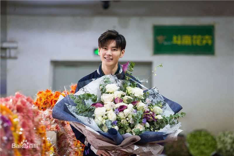 精选王嘉(Jevon Wang)在2019《天天向上》节目中的图册