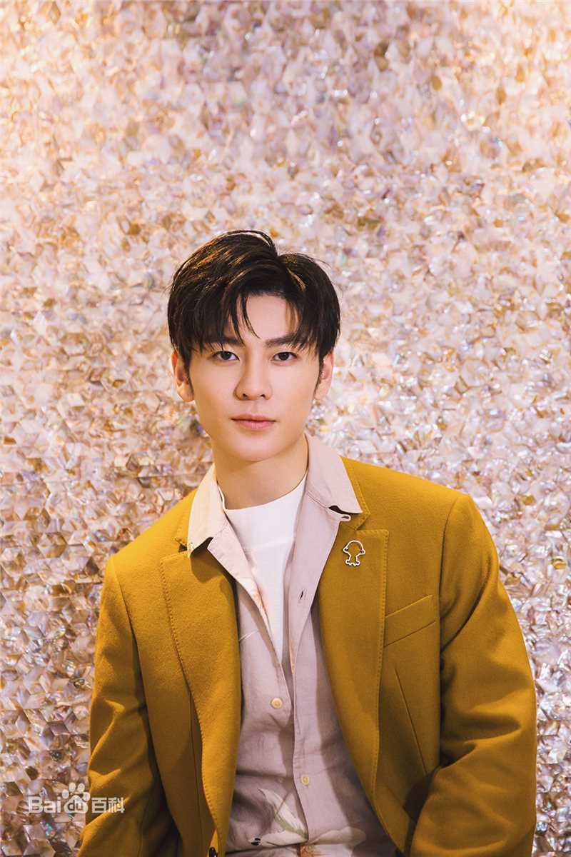 精选王嘉(Jevon Wang)在2019《天天向上》节目中的图册