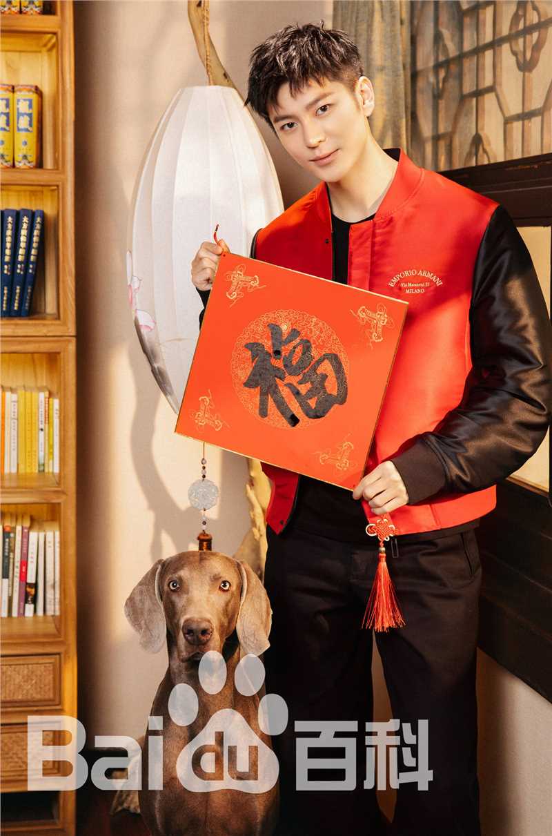 王嘉(Jevon Wang)2019新年贺岁片性感图片图集