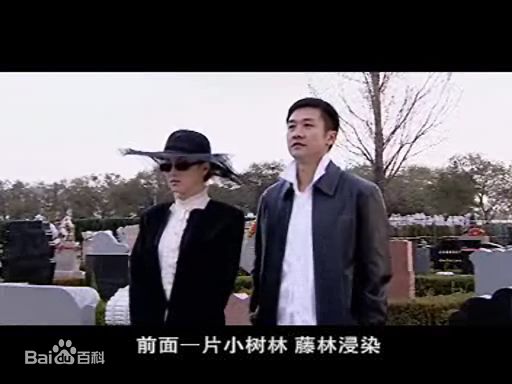 黄志忠2004年《底牌》最优质剧照