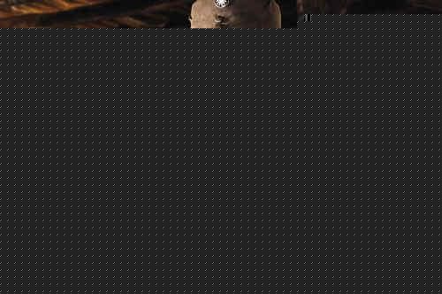 黄志忠2010年《中国远征军》最新剧照