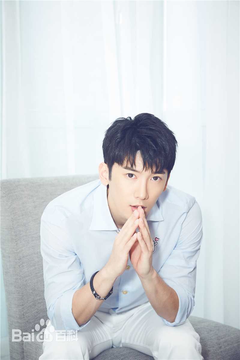 刘芮麟(Wayne)精选图册