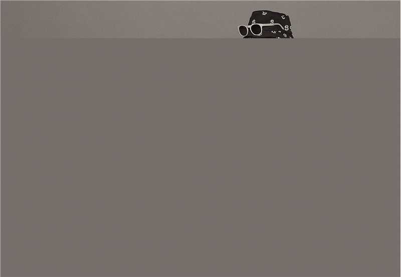 刘芮麟(Wayne)街拍图册