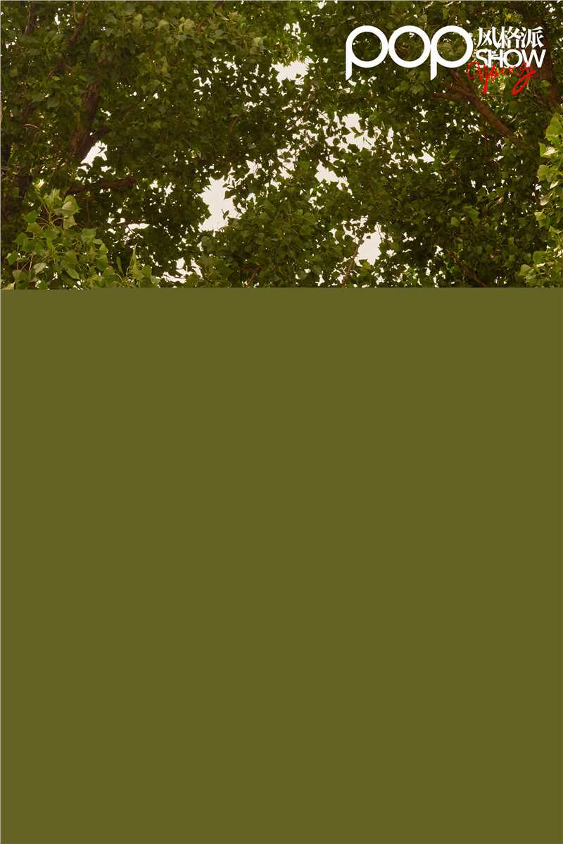 刘芮麟(Wayne)街拍图册