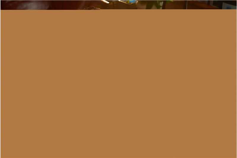 刘芮麟(Wayne)街拍图册