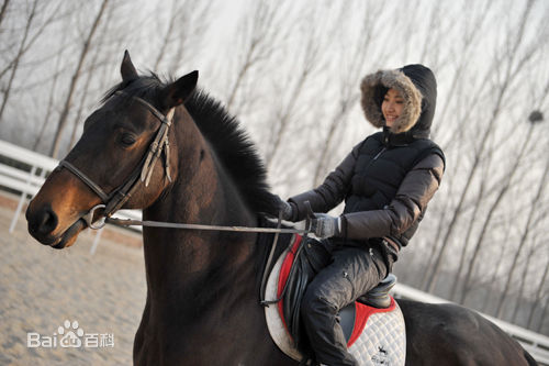 景甜(Jing Tian)学骑马图片图集