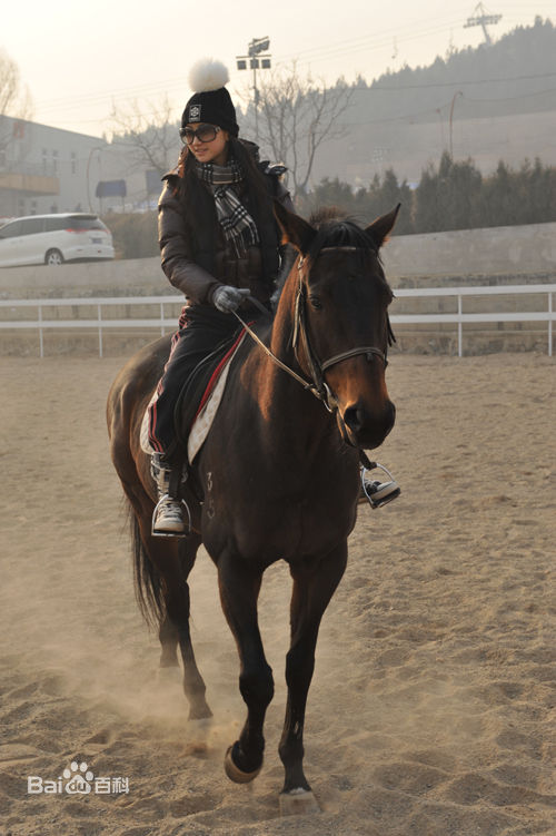 景甜(Jing Tian)学骑马图片图集