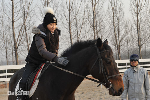 景甜(Jing Tian)学骑马图片图集