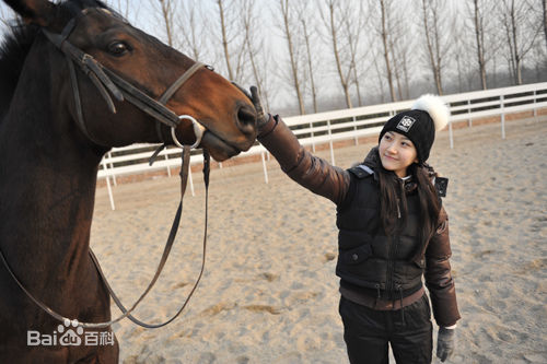 景甜(Jing Tian)学骑马图片图集