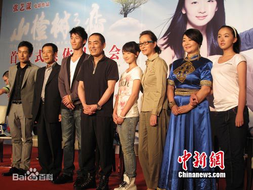 《山楂树之恋》首映会