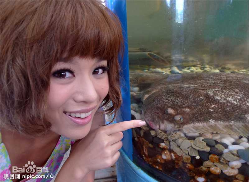 最优质胡杏儿(Myolie Wu)精彩图册