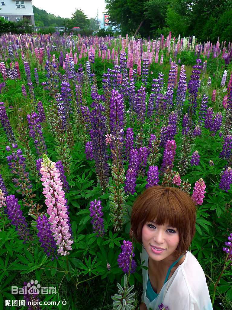 最优质胡杏儿(Myolie Wu)精彩图册