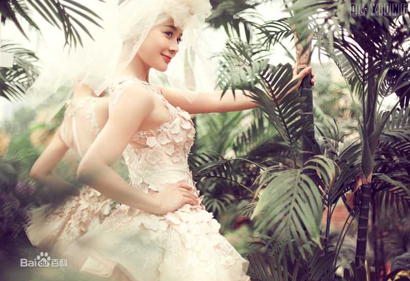 袁姗姗(Mabel Yuan)精选Ⅱ