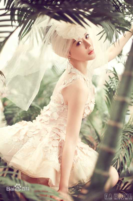 袁姗姗(Mabel Yuan)精选Ⅱ