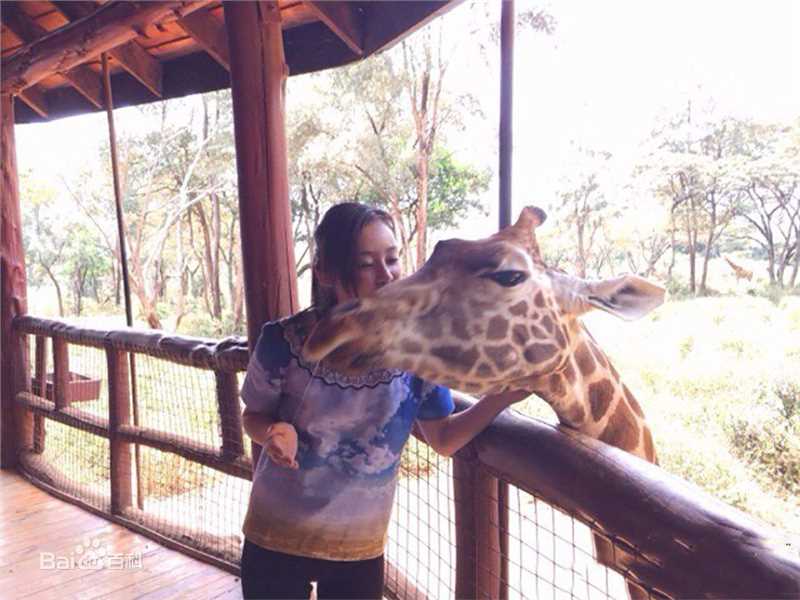 袁姗姗(Mabel Yuan)与动物壁纸壁纸