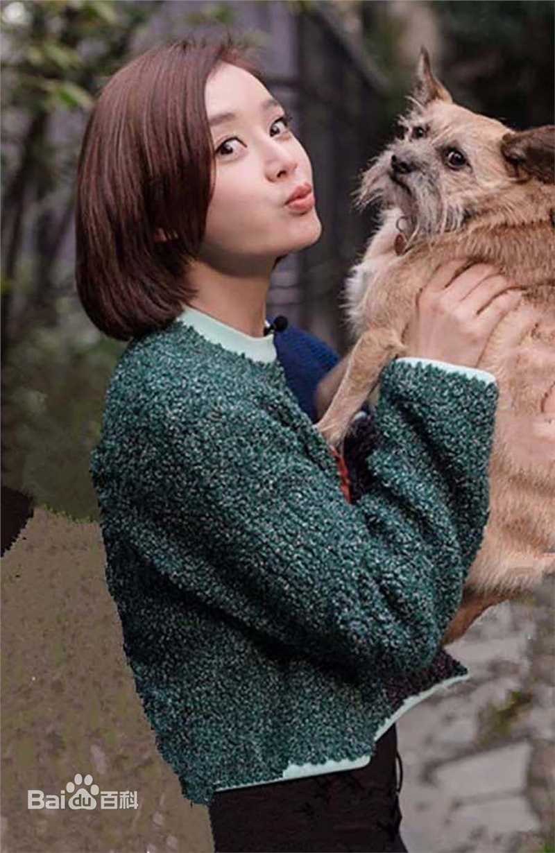 袁姗姗(Mabel Yuan)与动物壁纸壁纸