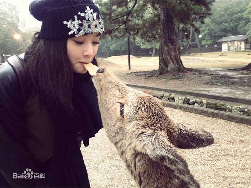 袁姗姗(Mabel Yuan)与动物壁纸壁纸