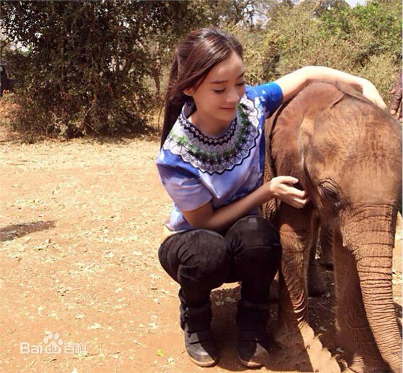 袁姗姗(Mabel Yuan)与动物壁纸壁纸