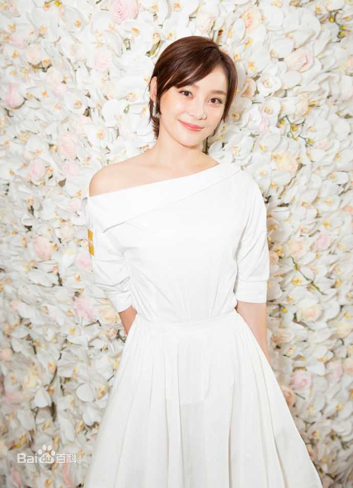 袁姗姗(Mabel Yuan)出席活动图册