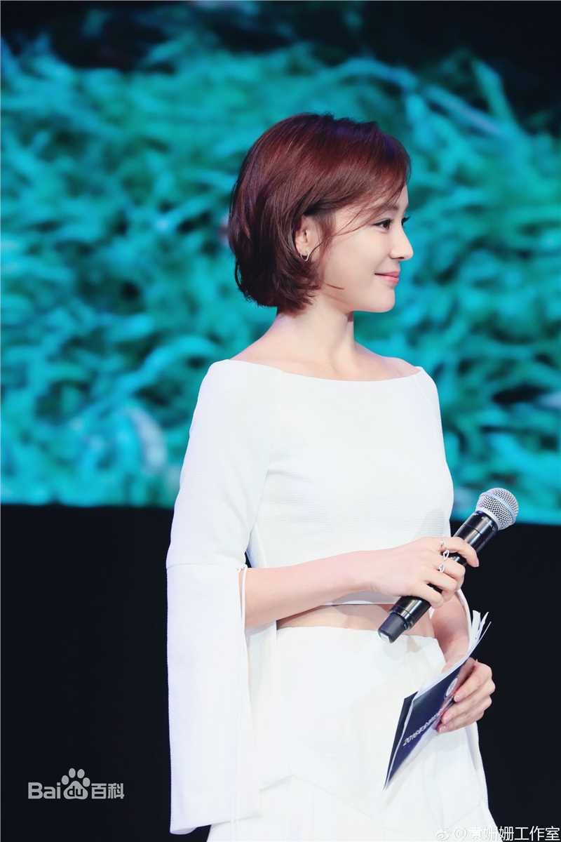 袁姗姗(Mabel Yuan)2016年全球社会化媒体与公益峰会图片图册