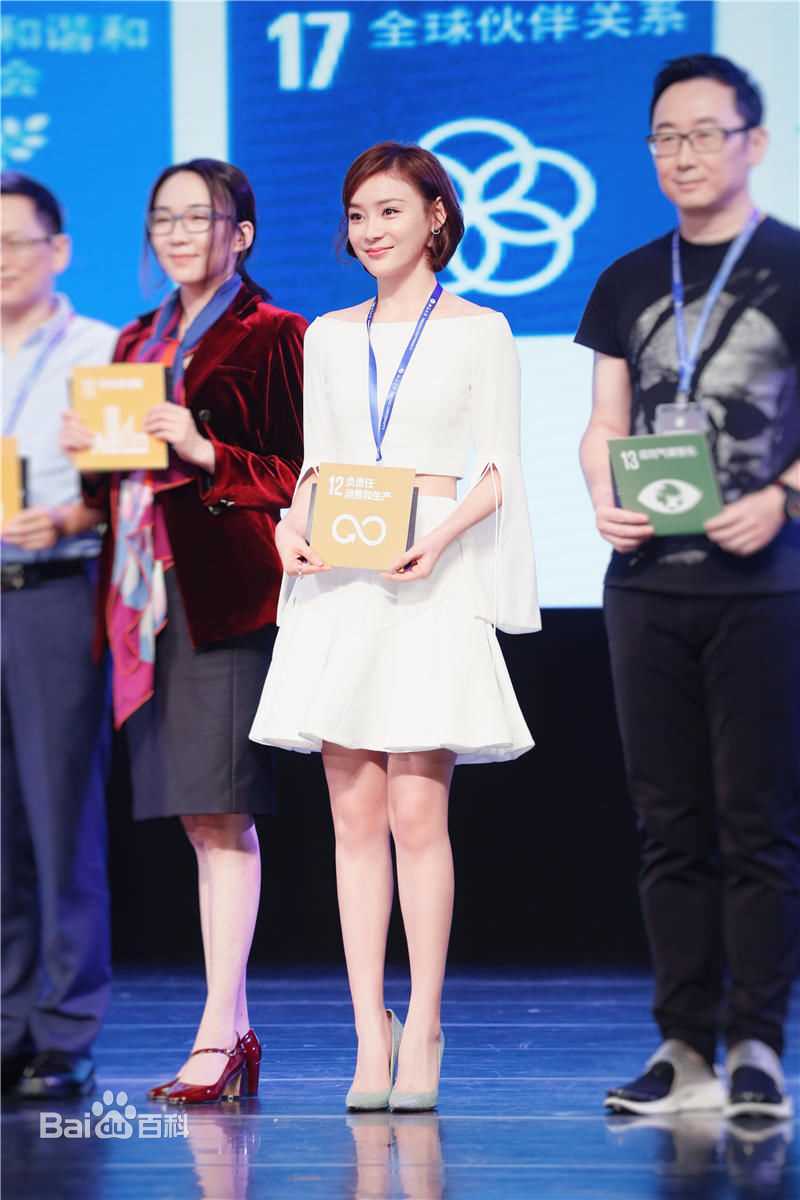 袁姗姗(Mabel Yuan)2016年全球社会化媒体与公益峰会图片图册