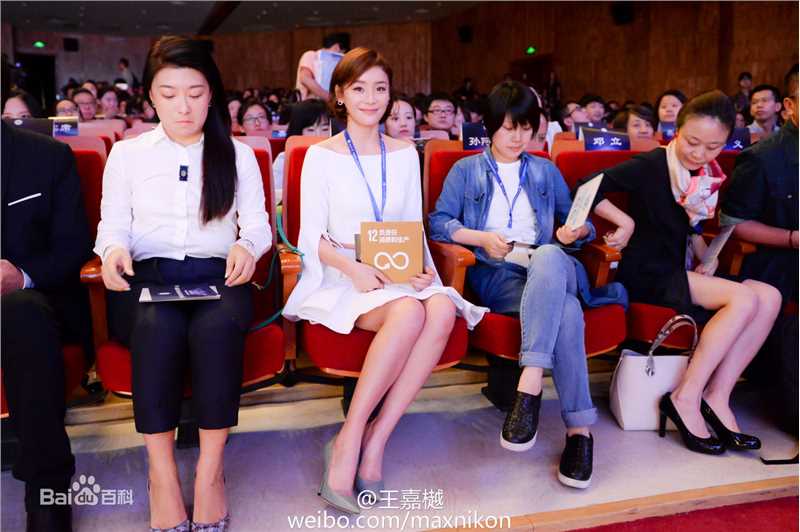 袁姗姗(Mabel Yuan)2016年全球社会化媒体与公益峰会图片图册