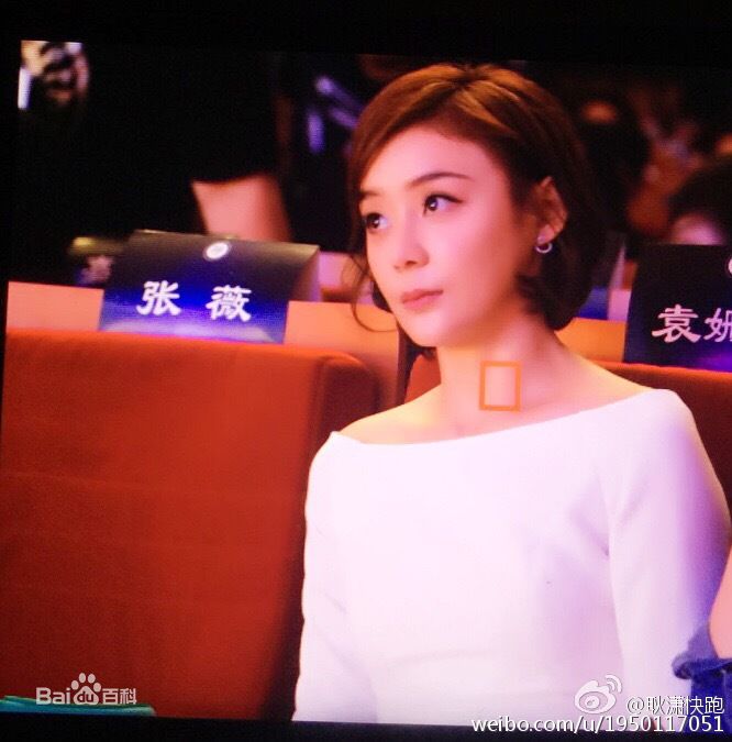 袁姗姗(Mabel Yuan)2016年全球社会化媒体与公益峰会图片图册