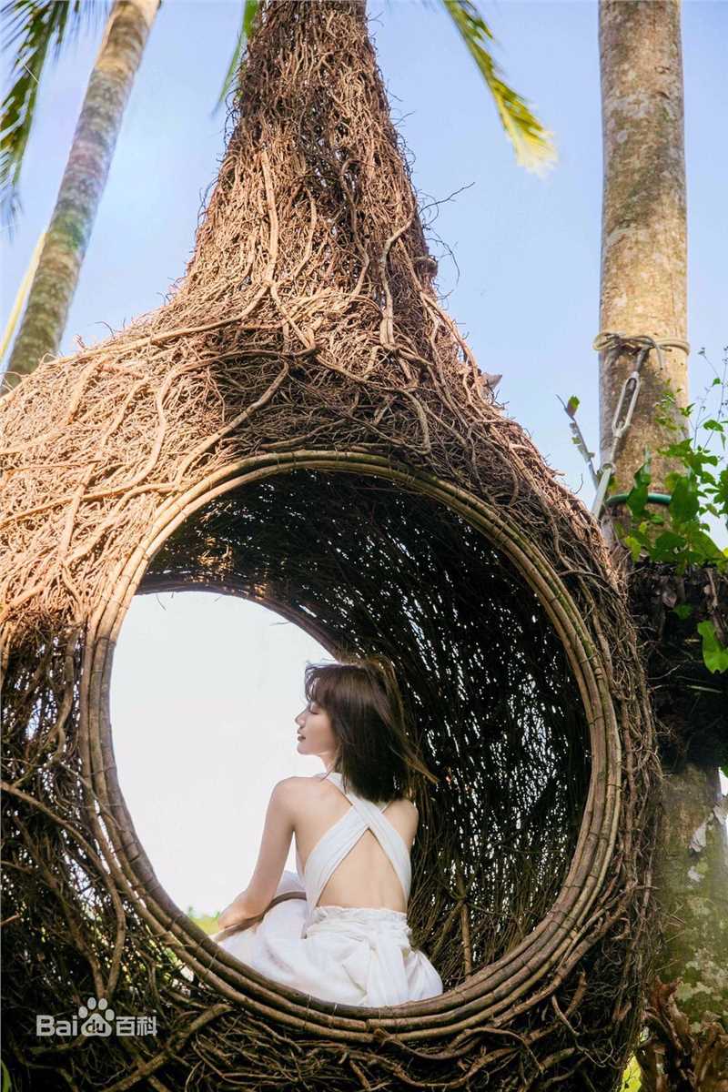 毛晓彤(Rachel Momo)