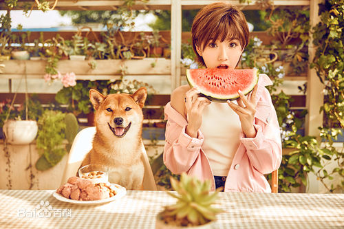 毛晓彤(Rachel Momo)