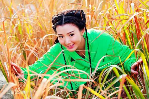 毛晓彤(Rachel Momo)在《天龙八部》钟灵中的