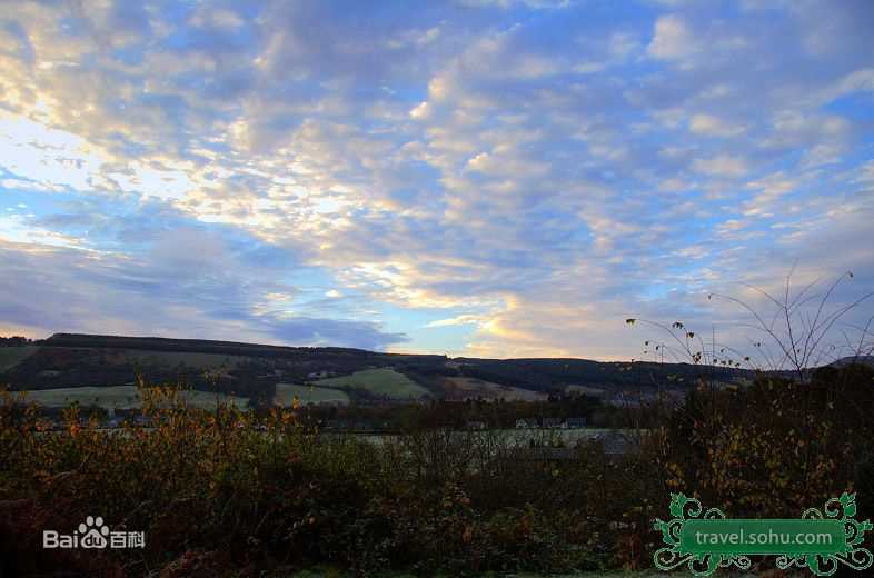 最全戴娇倩(Shirley Dai)精彩图册