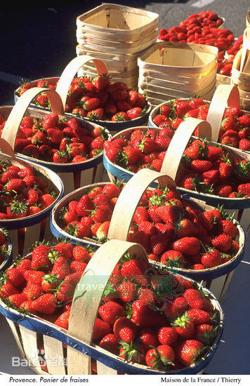 最全戴娇倩(Shirley Dai)精彩图册