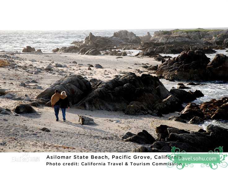 最全戴娇倩(Shirley Dai)精彩图册