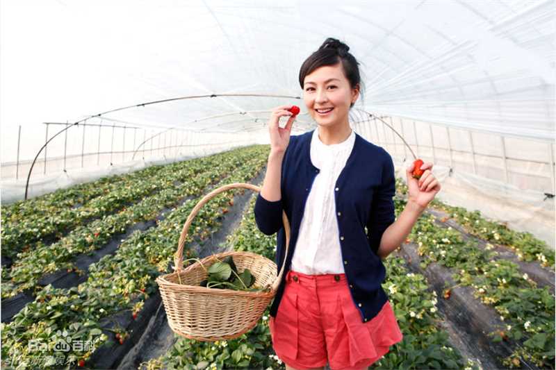 精选戴娇倩(Shirley Dai)精彩图册