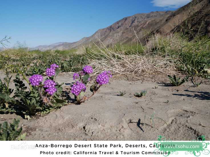 精选戴娇倩(Shirley Dai)精彩图册