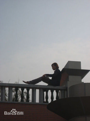 精选戴娇倩(Shirley Dai)精彩图册