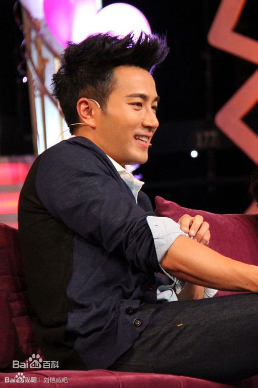 刘恺威(Hawick Lau，Lau Hoi Wai)2013活动集素颜照相册