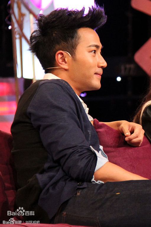 刘恺威(Hawick Lau，Lau Hoi Wai)2013活动集素颜照相册