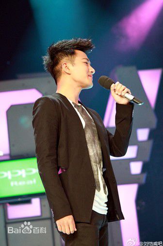 刘恺威(Hawick Lau，Lau Hoi Wai)2011活动集图册