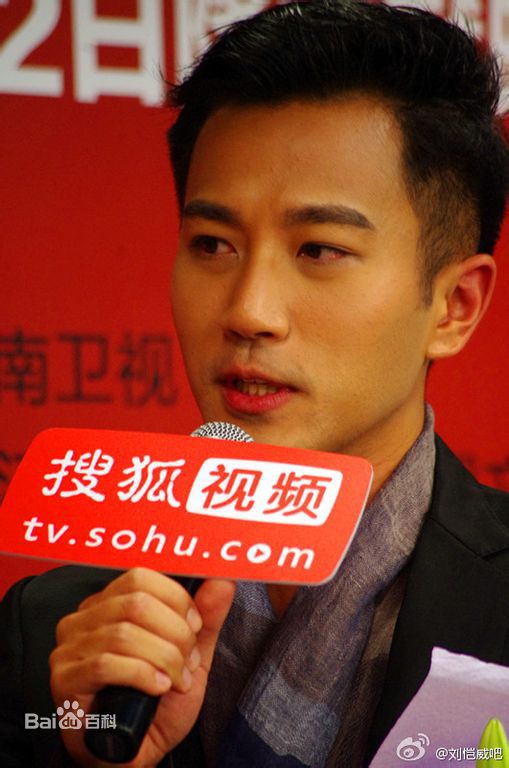 刘恺威(Hawick Lau，Lau Hoi Wai)2011活动集图册