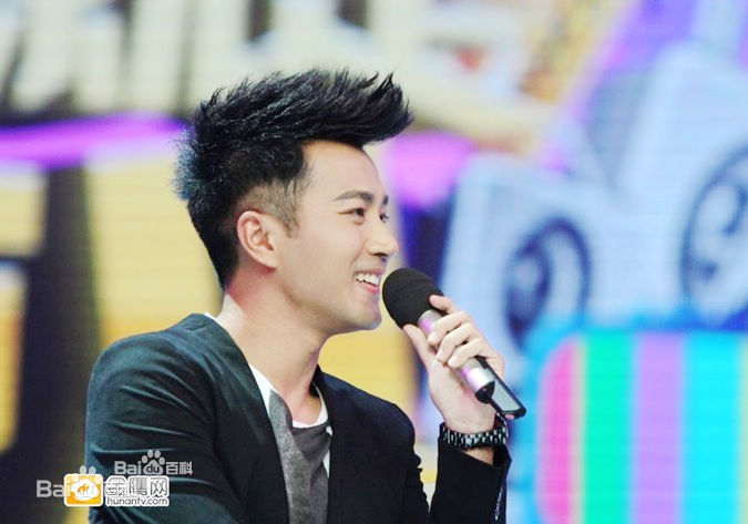 刘恺威(Hawick Lau，Lau Hoi Wai)2011活动集图册